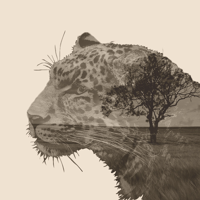 ps双重曝光动物练习