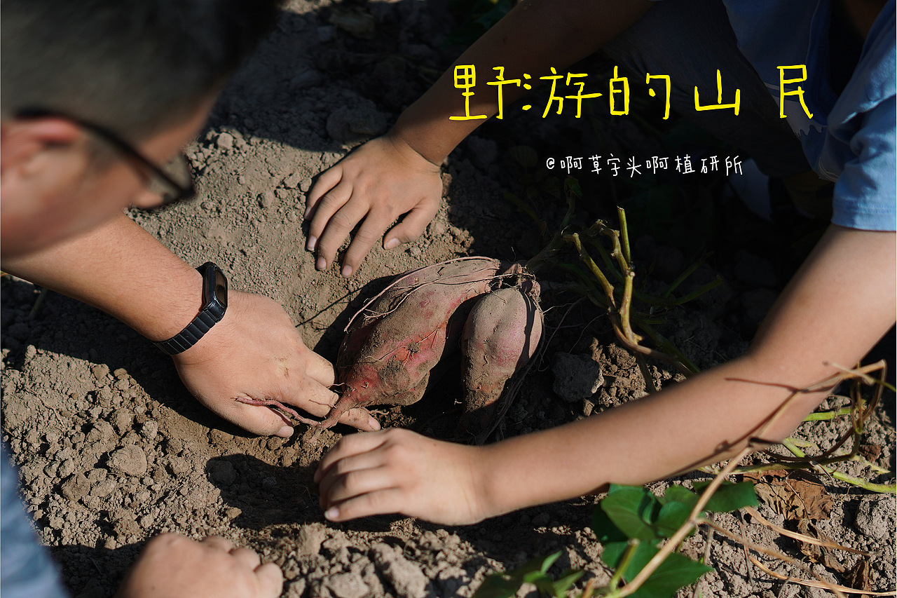 国庆营-野游的山民02