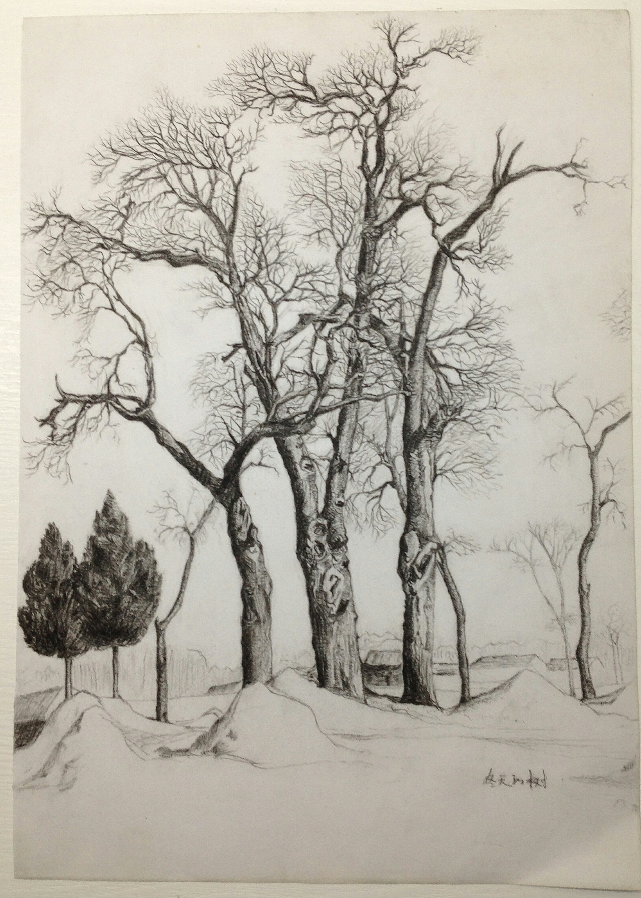 分享收藏起风了人像素描-hs盛开的桃花沙湾古镇风景油画北京61冬天