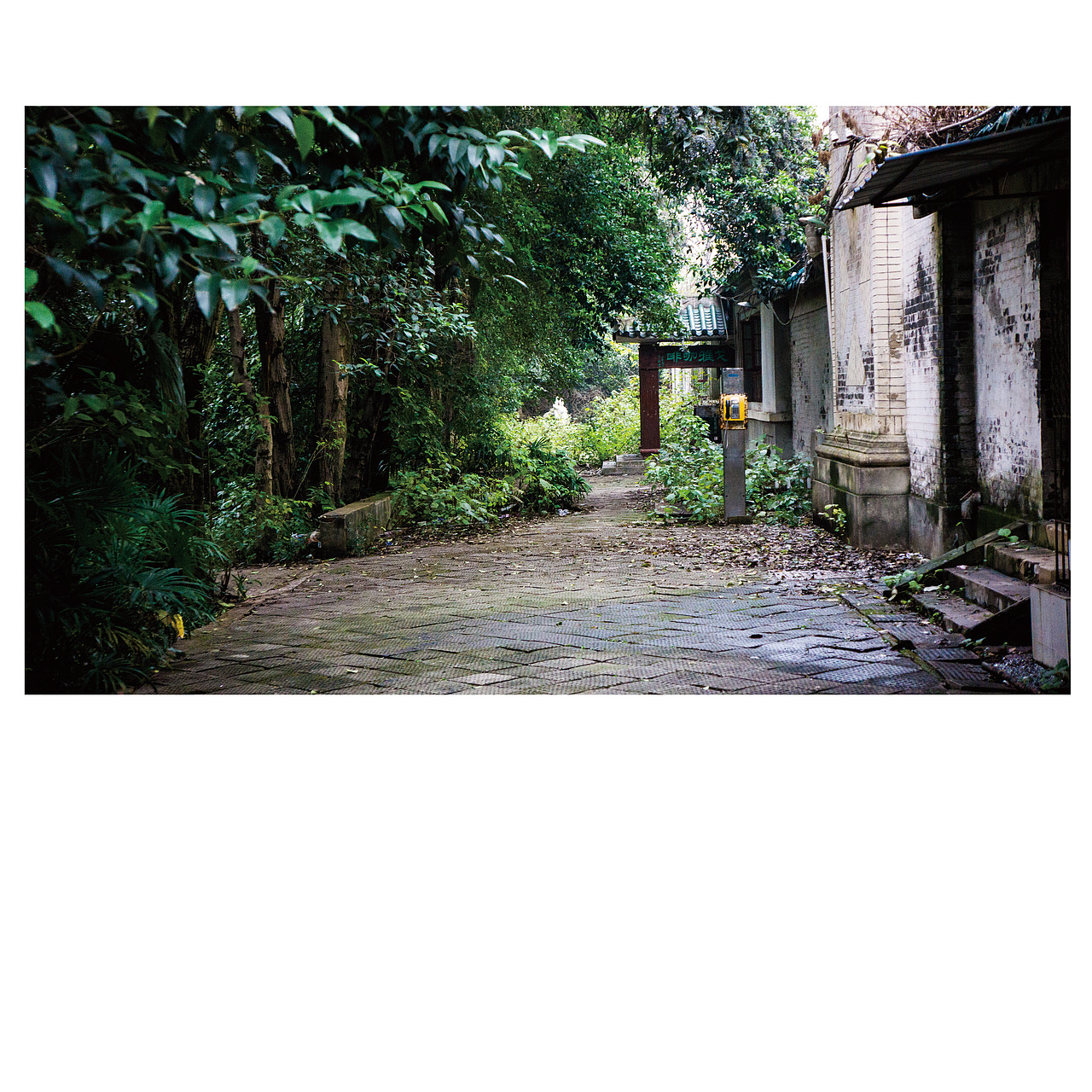 画册设计—摄影画册