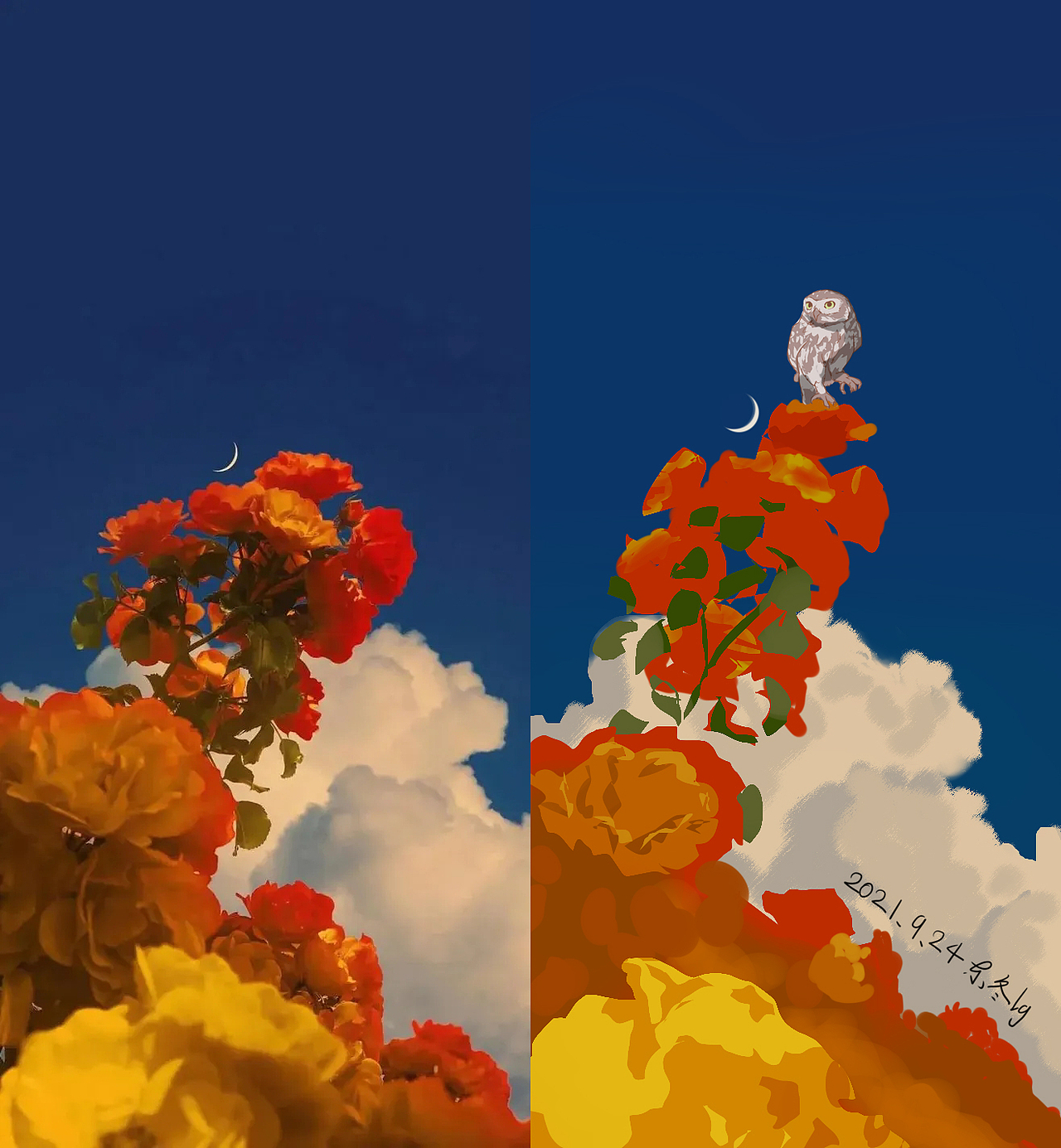 近两年板绘练习总结（野生插画师）