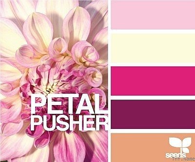 配色（图ZMTI1OTc4OTgw） - 其他 - 站酷设计师fengyuhann原创素材 - 站酷ZCOOL