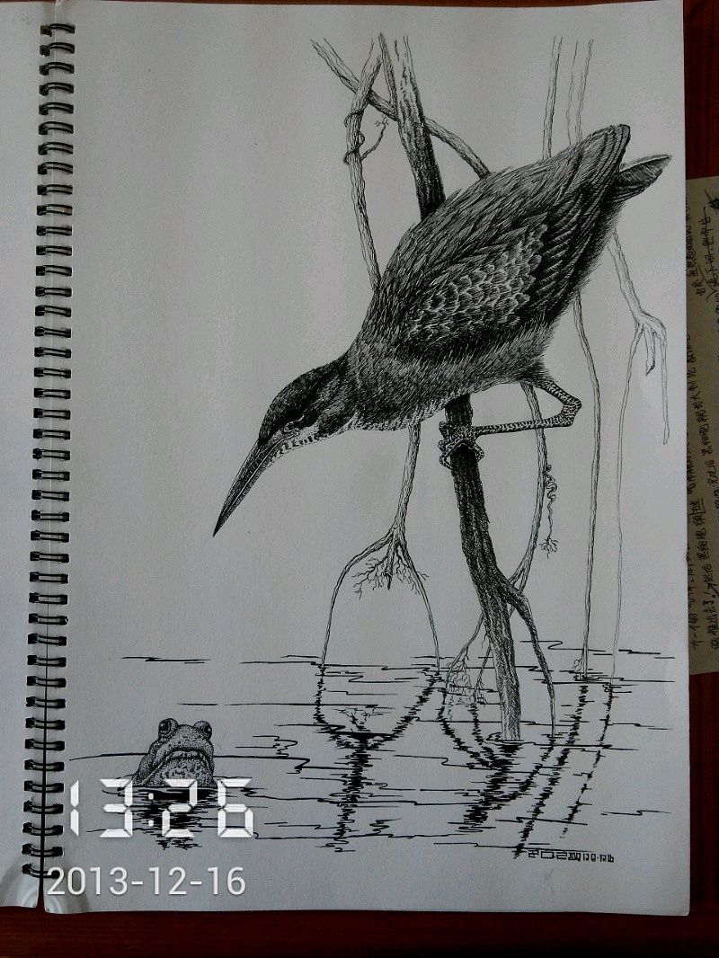 手绘（图ZMTQzOTY1Njg=） - 绘画 - 站酷设计师森林小兵原创素材 - 站酷ZCOOL