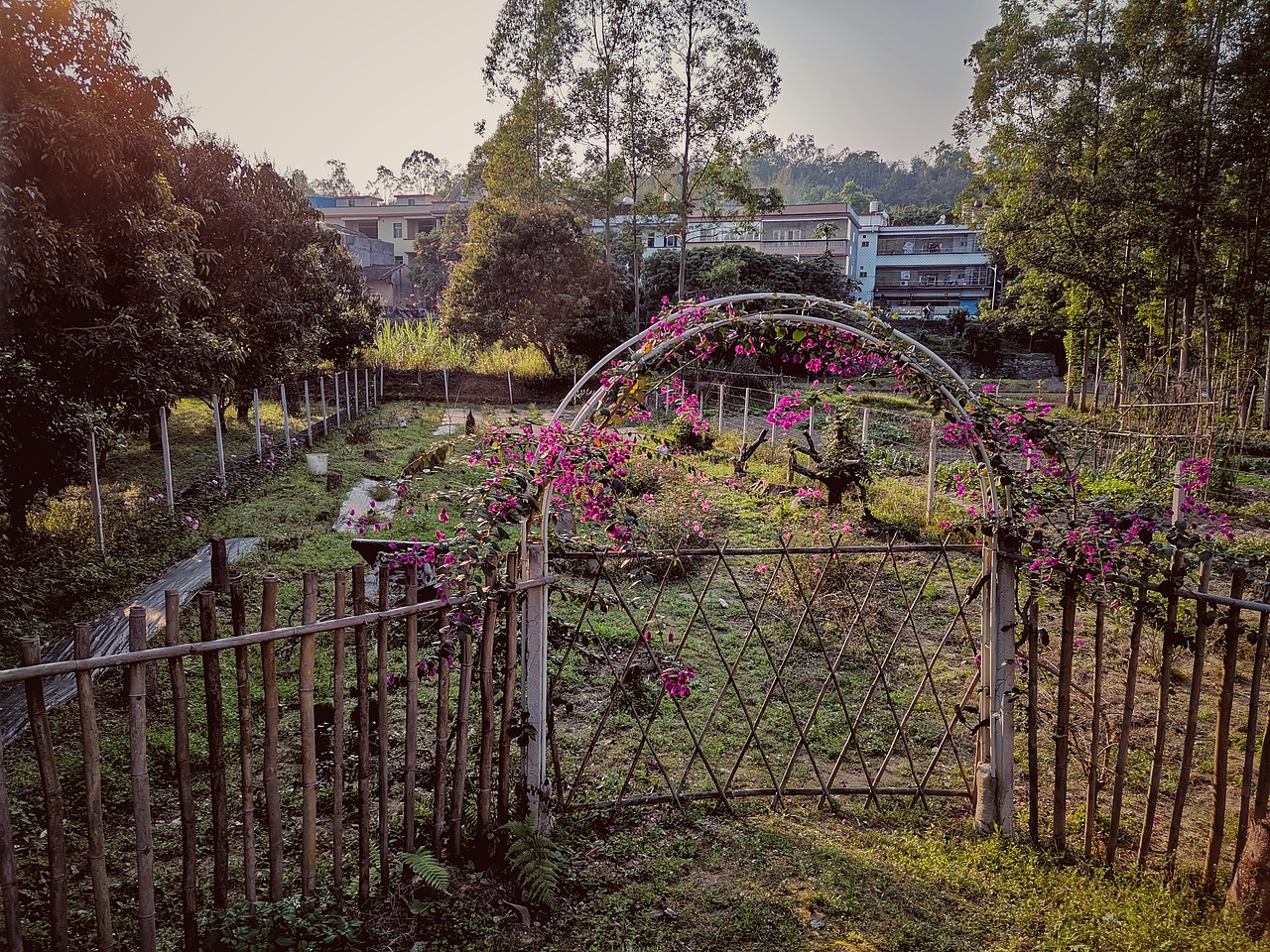 取舍，回归初心（图ZMjgxNDg2MDIw） - 风光摄影 - 站酷设计师治愈的花园原创素材 - 站酷ZCOOL