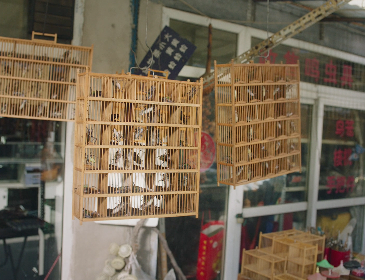 Adobe/Make It-LxU 【怪诞集盒】