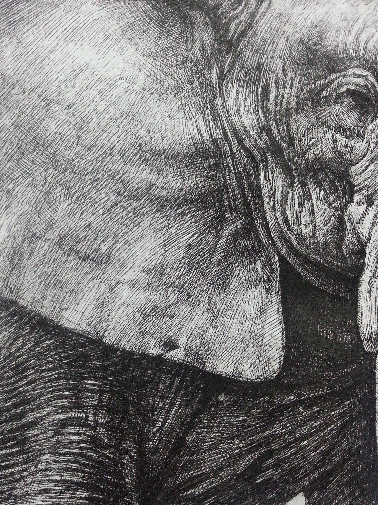 缺角的象（鋼筆畫）（圖ZMTY0MzAxNzI=） - 繪畫 - 站酷設(shè)計(jì)師許歡原創(chuàng)素材 - 站酷ZCOOL