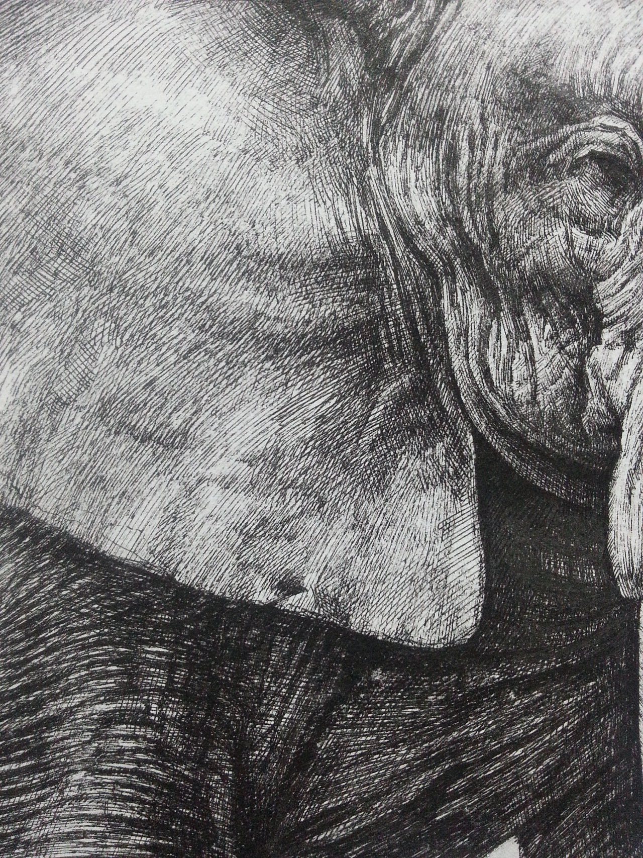 象头 素描图片