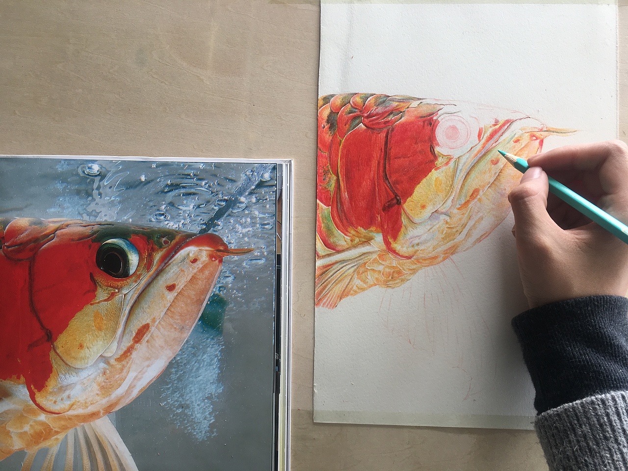 龙鱼第一回（图ZMTAzODAwOTg0） - 创作习作 - 站酷设计师_lelia原创素材 - 站酷ZCOOL