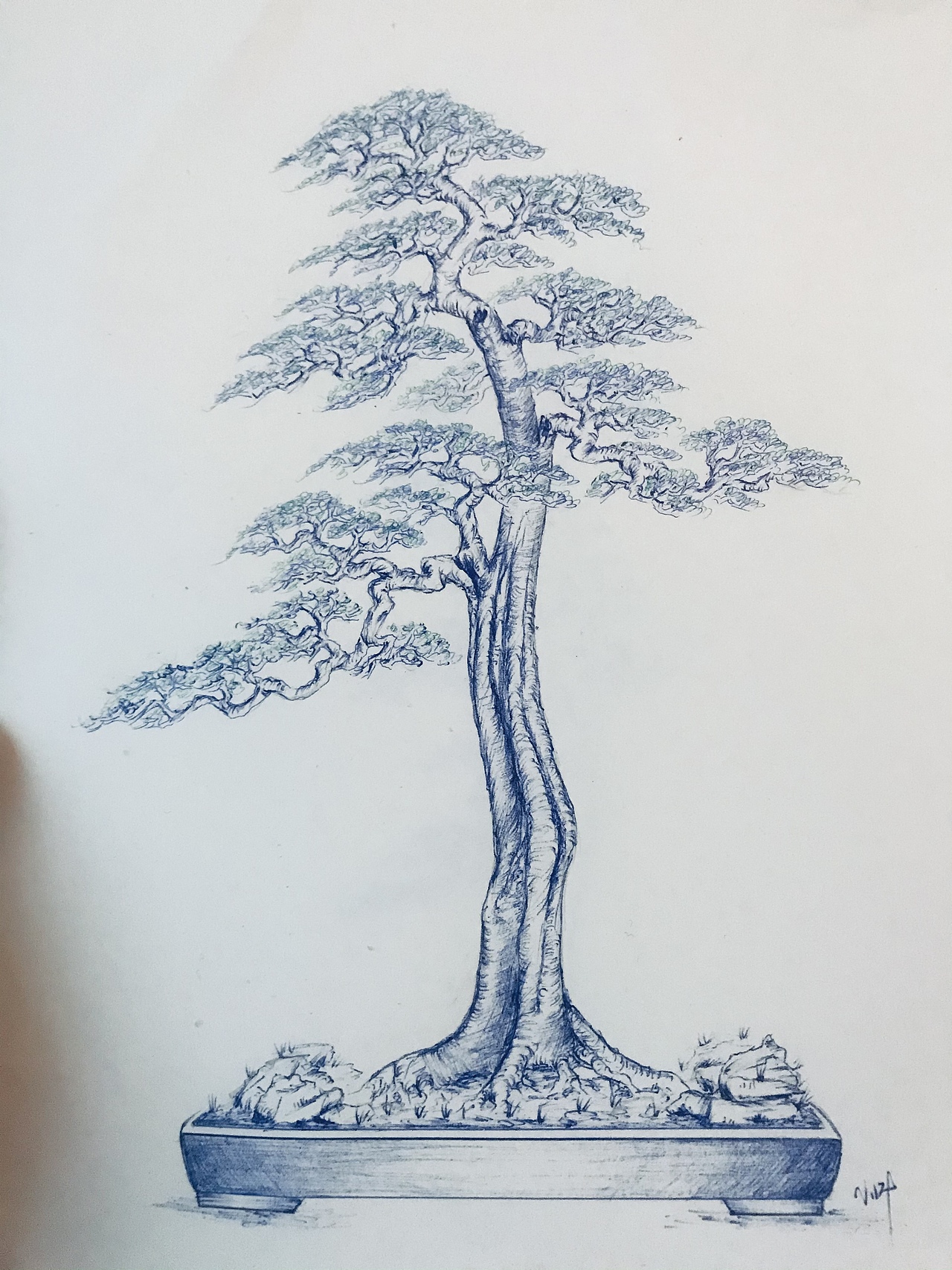 盆景（图ZMjUzMzMyMzQ0） - 绘画 - 站酷设计师Z75835907原创素材 - 站酷ZCOOL