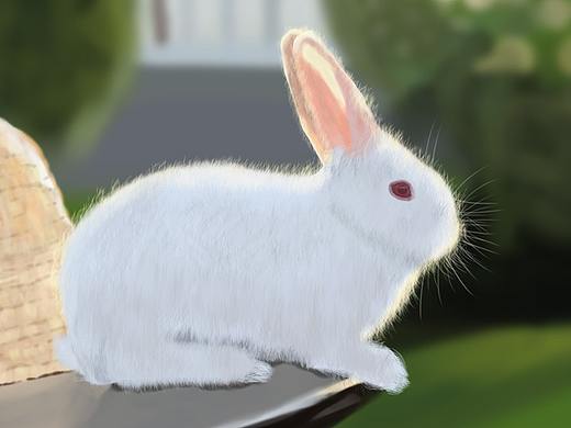 2018年插画练习