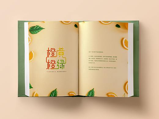 橙黄橙绿 — 字体设计