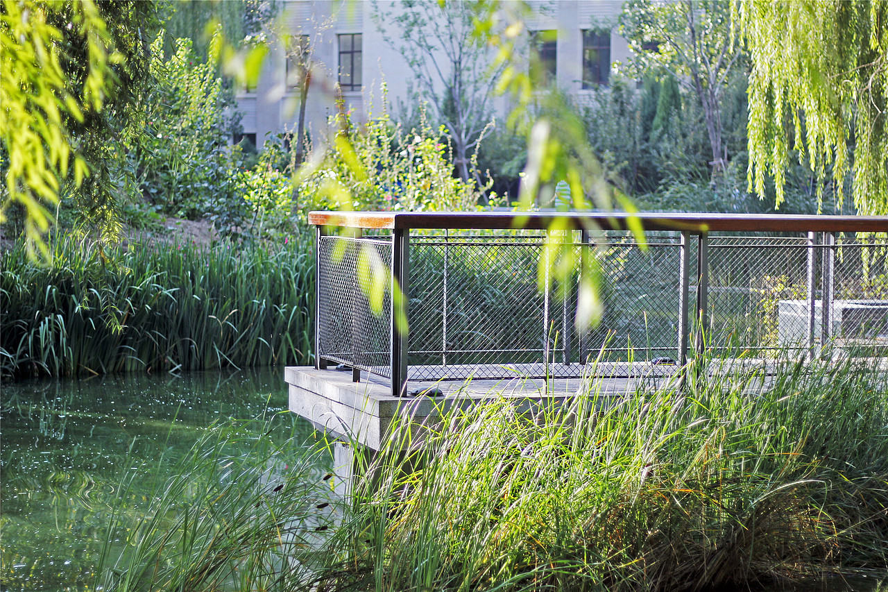 太原龙潭公园栖凤湖湿地