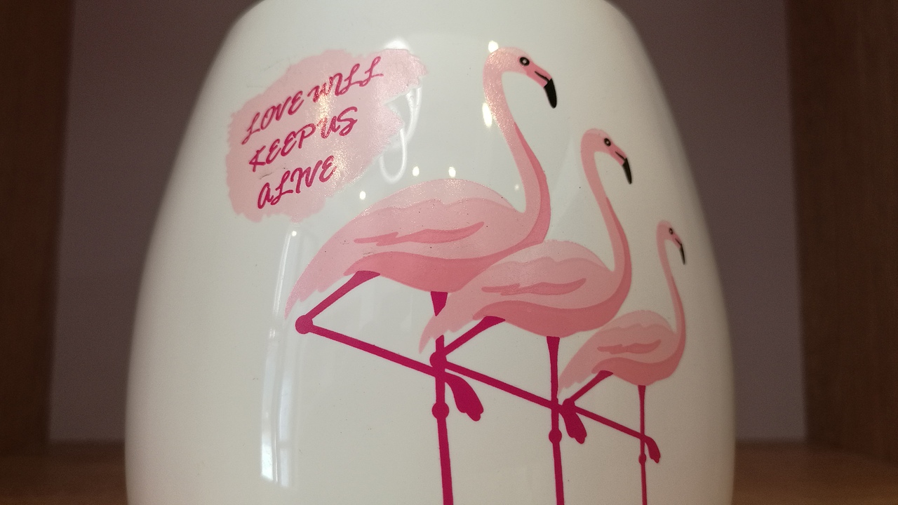 火烈鸟主题洗衣店VIS设计