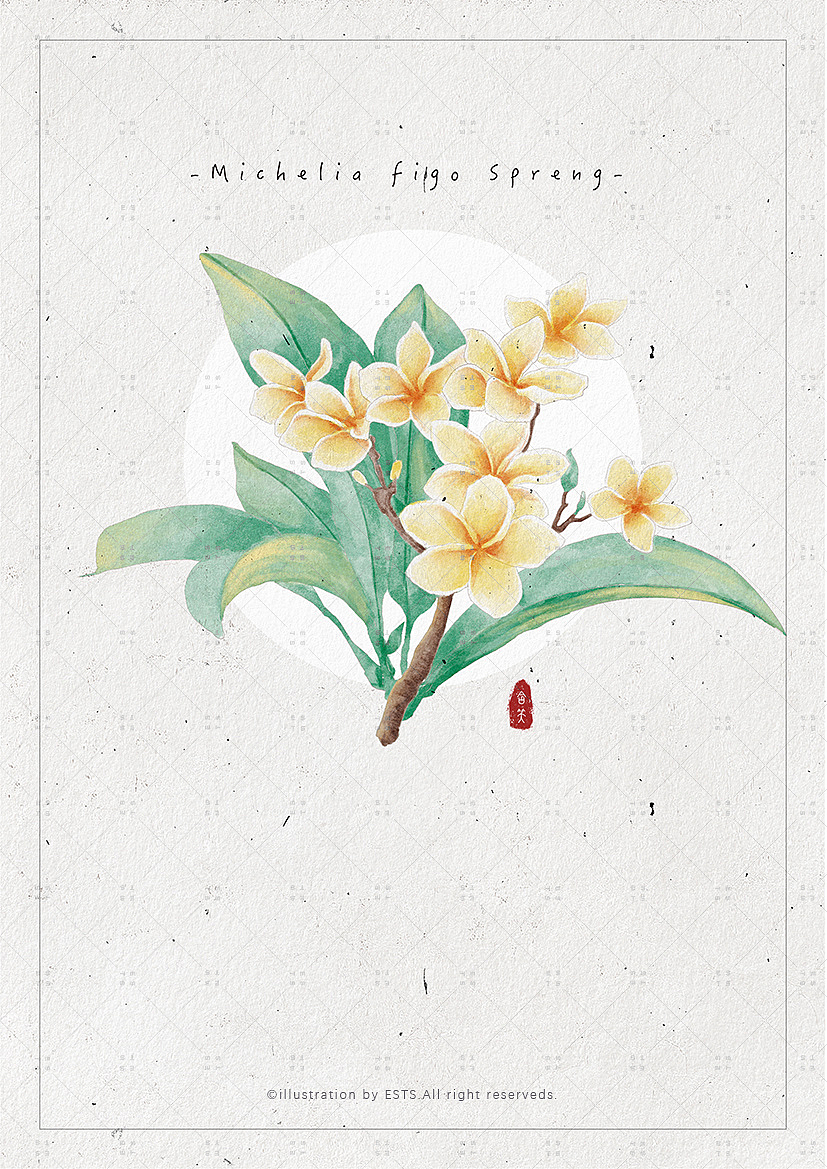 那些花儿-肆（图ZMTM3OTM5OTc2） - 创作习作 - 站酷设计师ESTS原创素材 - 站酷ZCOOL