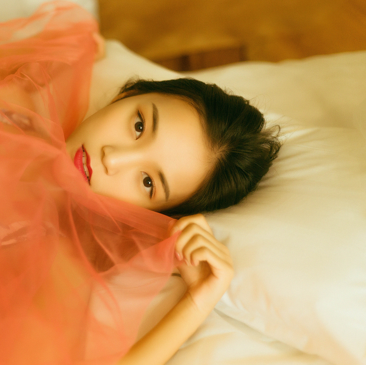 想把你写成一首歌 想养一只猫