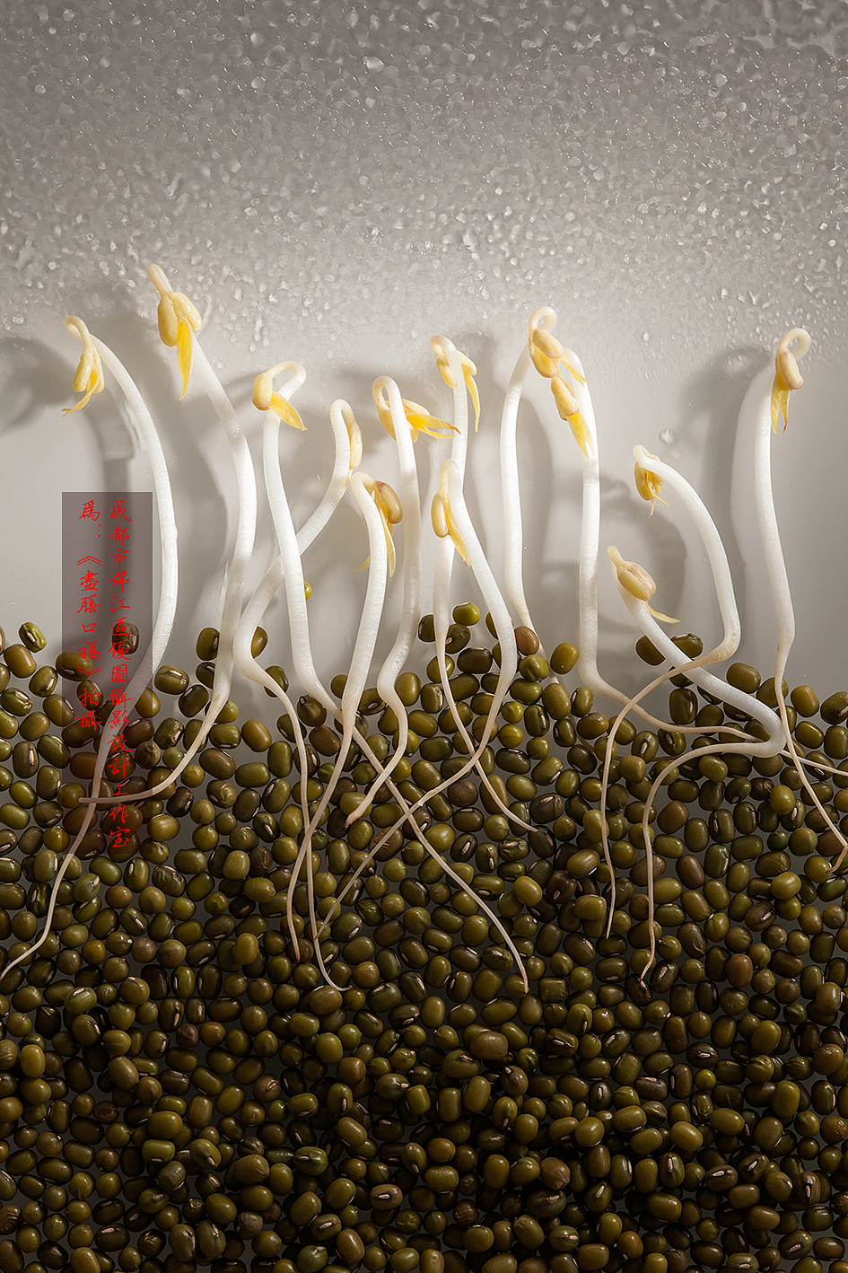 跷脚牛肉年轻感拍法|尽膳口福