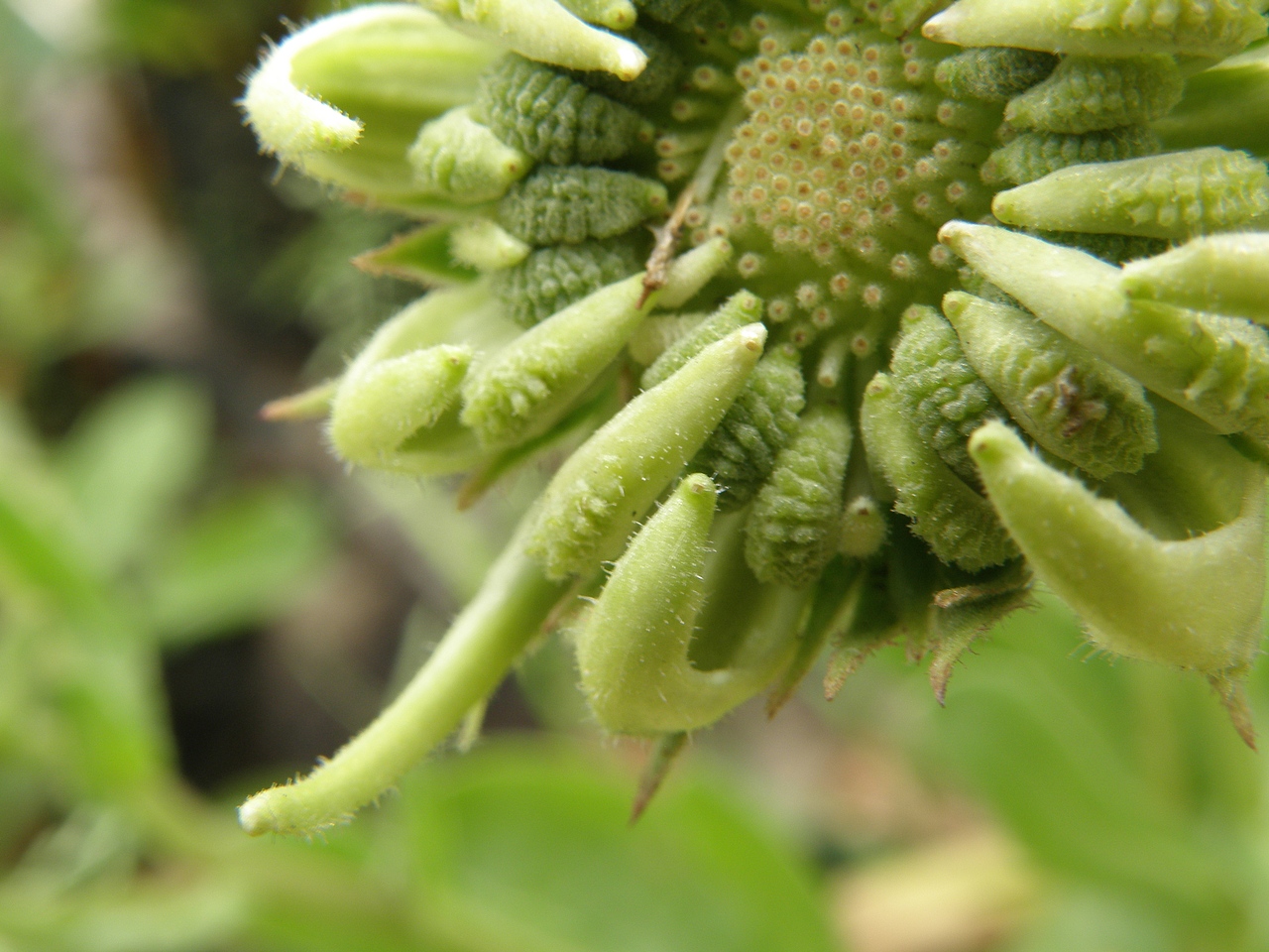 微距人生（图ZMjg0MDQxNg==） - 产品摄影 - 站酷设计师lmzlucky12原创素材 - 站酷ZCOOL