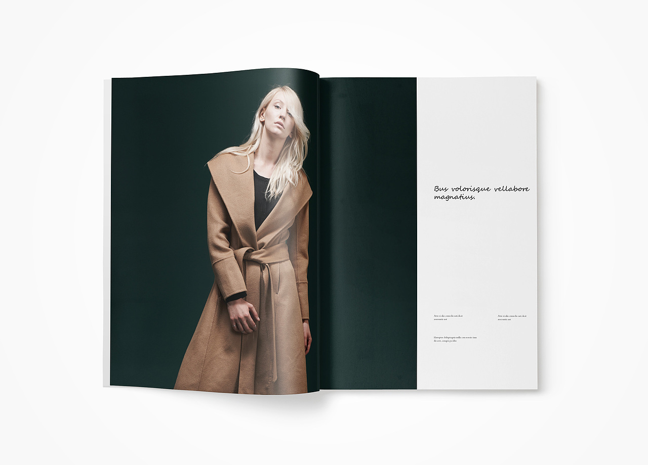 斯狄芬妮服装品牌画册