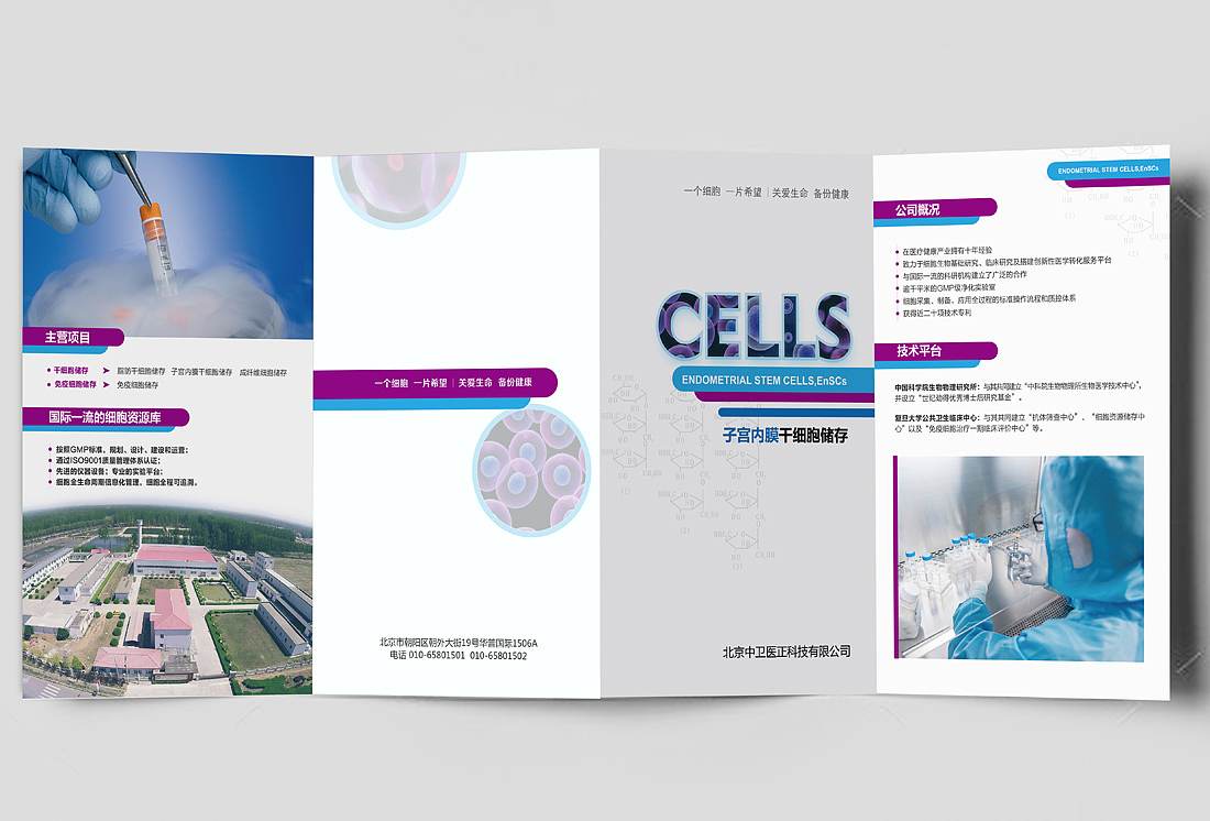 医疗折页宣传设计（图ZMTI5OTE3MDM2） - 书籍/画册 - 站酷设计师爱画册原创素材 - 站酷ZCOOL