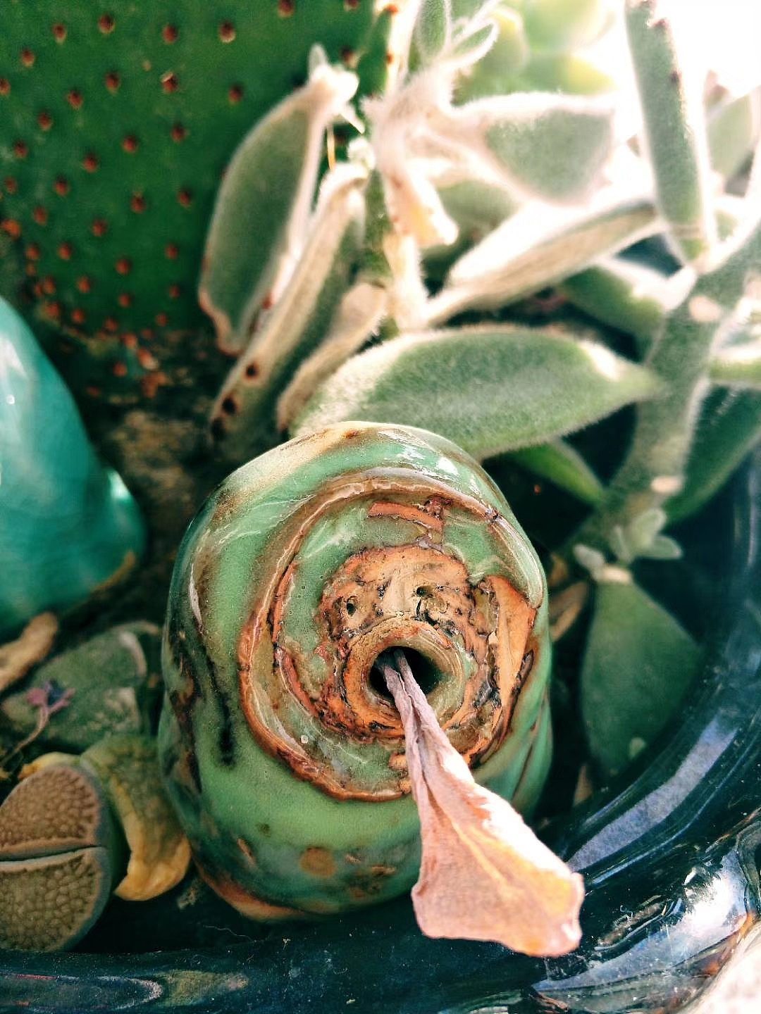 过去一年里对于神仙妖魔题材作品的小总结（图ZMjQyMjEyMDcy） - 手办/模玩 - 站酷设计师因啊而生原创素材 - 站酷ZCOOL