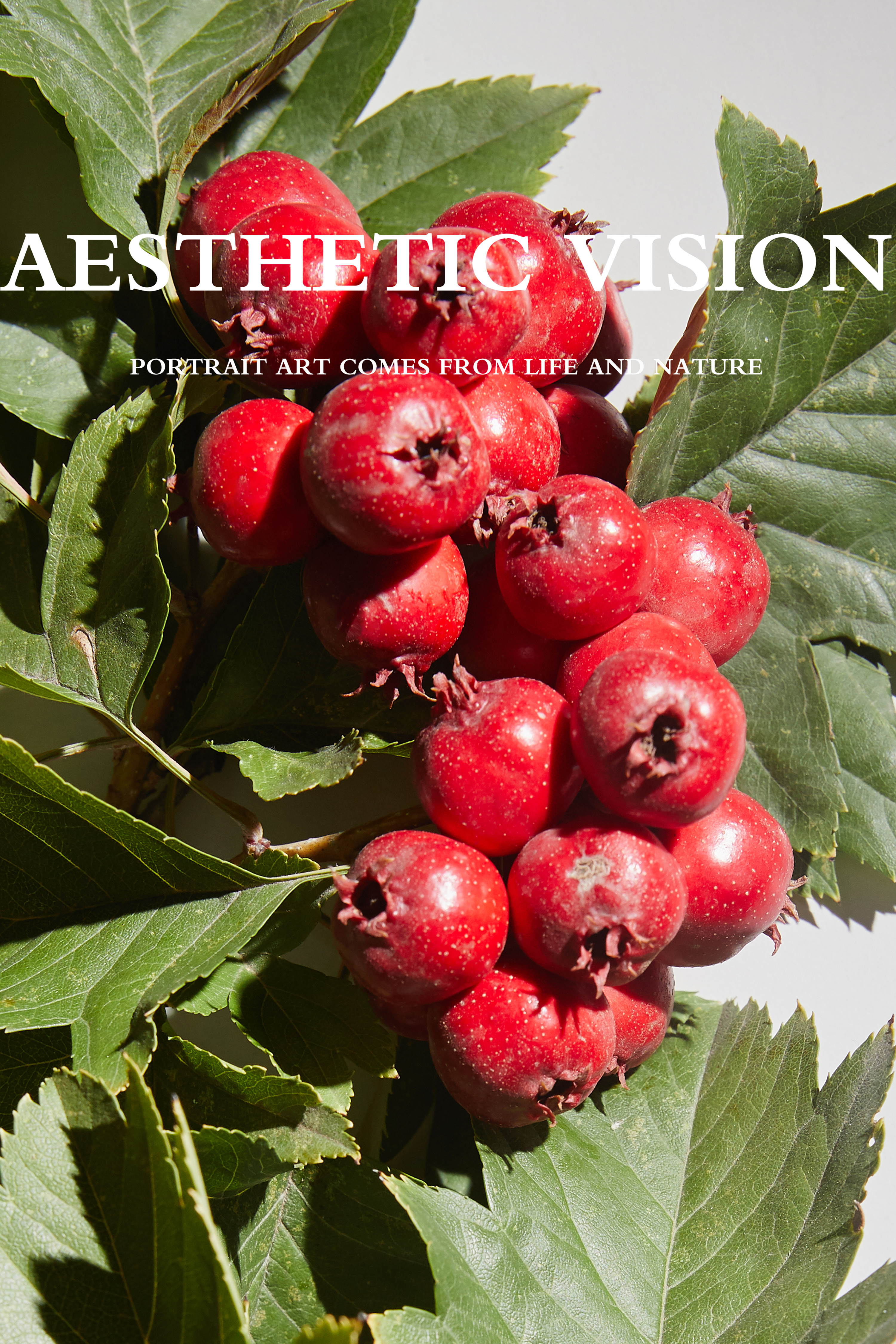 山楂|影视|宣传片|摄影师李光玉 - 原创作品 - 站酷 (zcool)