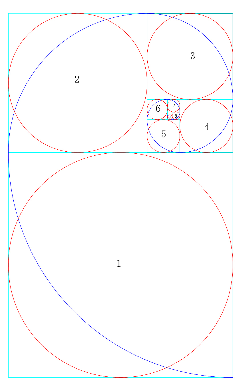 标准黄金分割螺旋线 黄金比例 ai格式素材