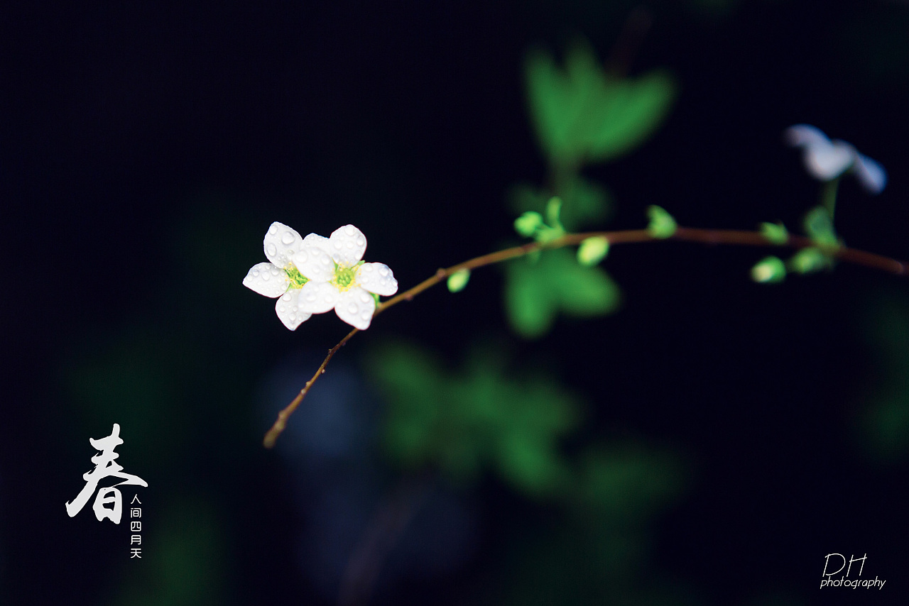 四月 春深