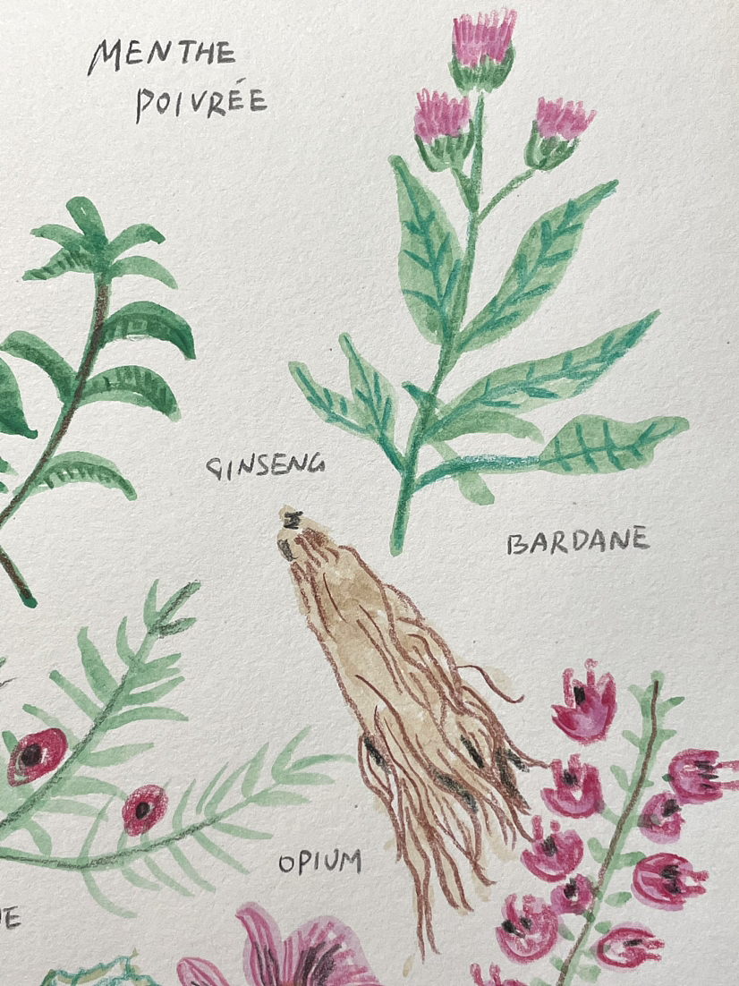 手绘食谱Vol.54 💐💐💐