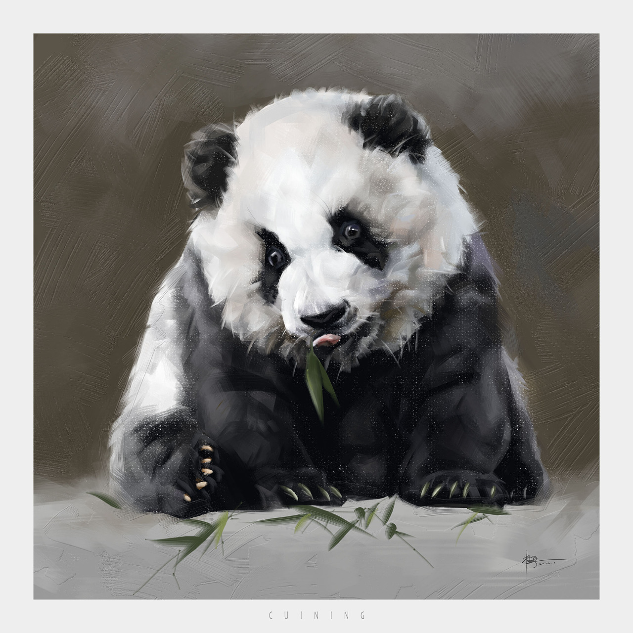 一组大熊猫插画|插画|创作习作|Albizia___原创作品-站酷ZCOOL