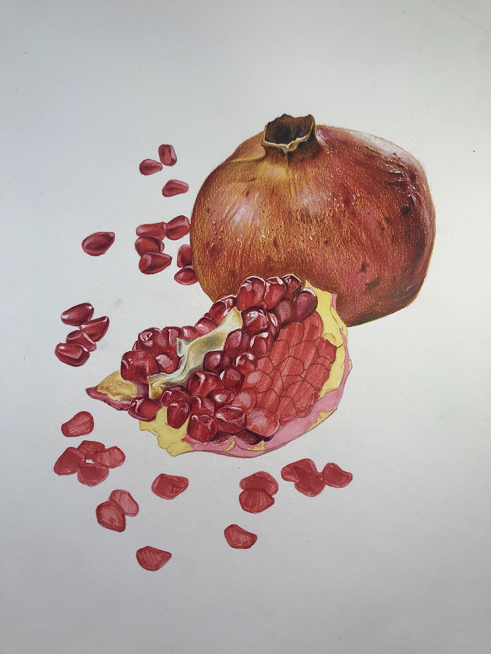 彩铅石榴（图ZMTM0MzY4MzYw） - 绘画 - 站酷设计师木紫妍GY原创素材 - 站酷ZCOOL