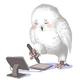 元庭海老的头像