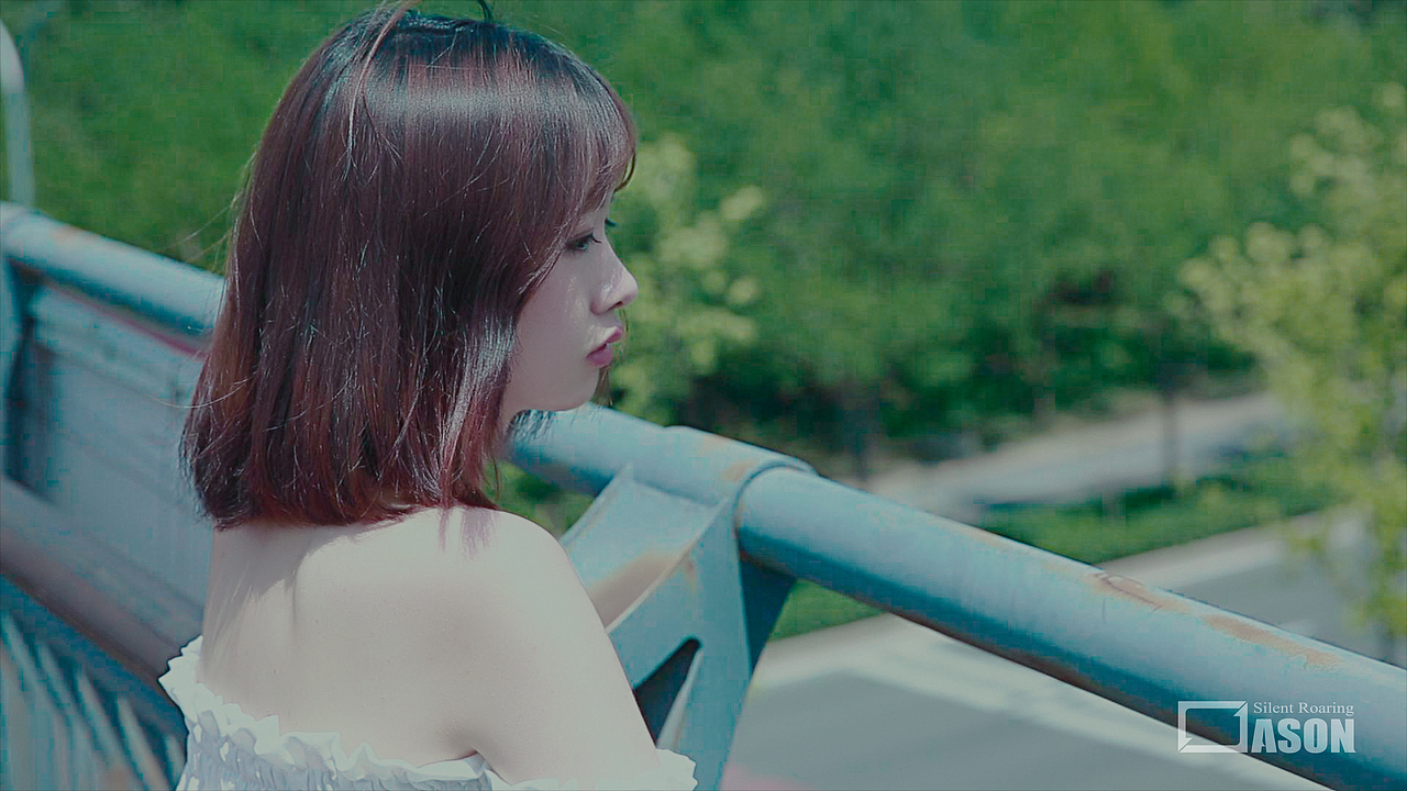 梦的草长莺飞——少女与夏花