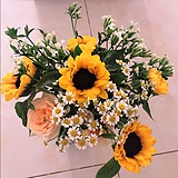 wangling19890110的头像
