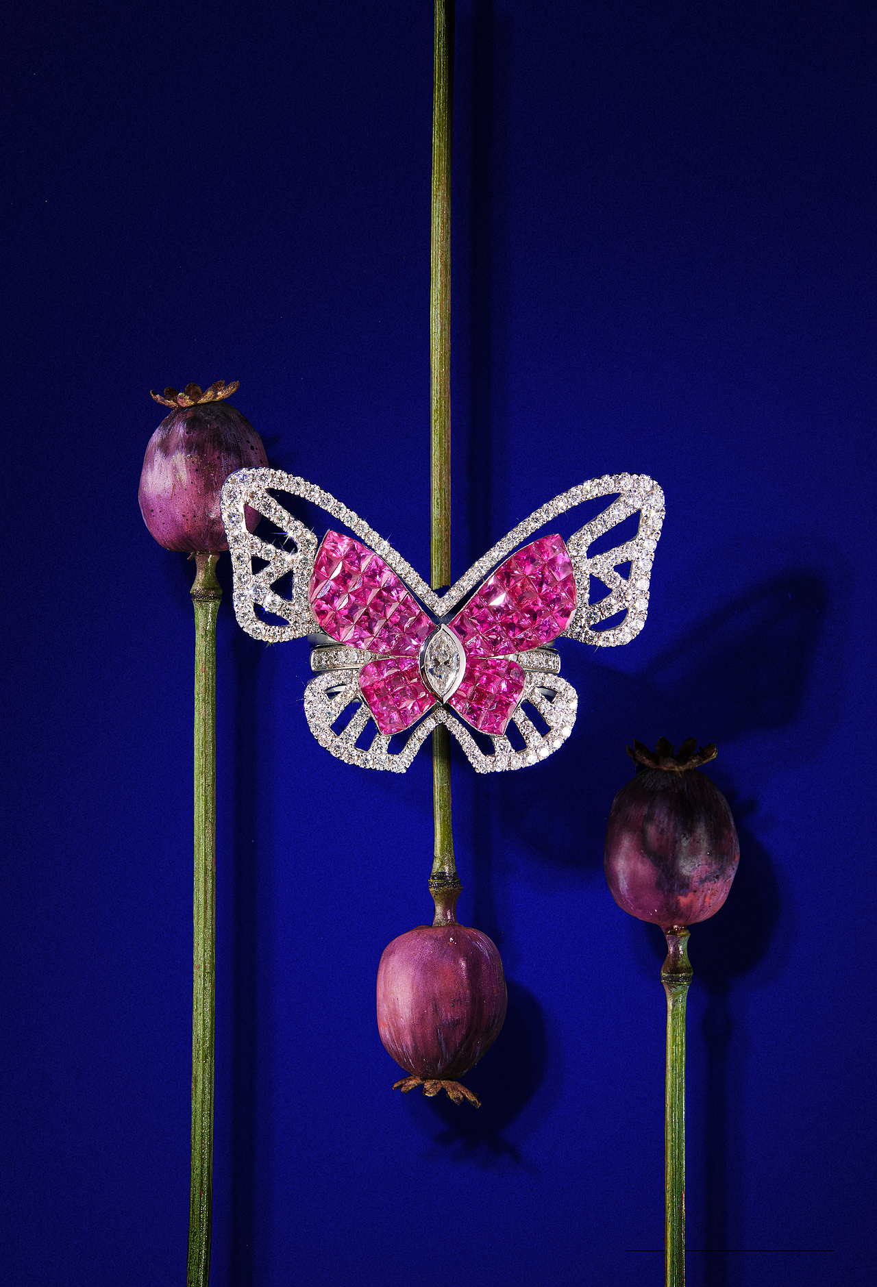 “不要溫順地走進那個良夜”-珠寶創(chuàng)意海報（圖ZMzIyMTc4MDI4） - 產(chǎn)品攝影 - 站酷設(shè)計師珠寶攝影師moko原創(chuàng)素材 - 站酷ZCOOL