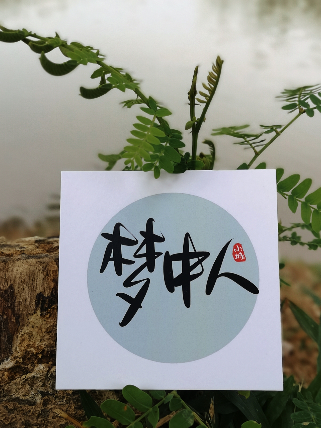 梦中人
