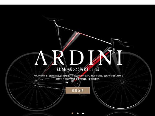 ARDINI-企业网站实现