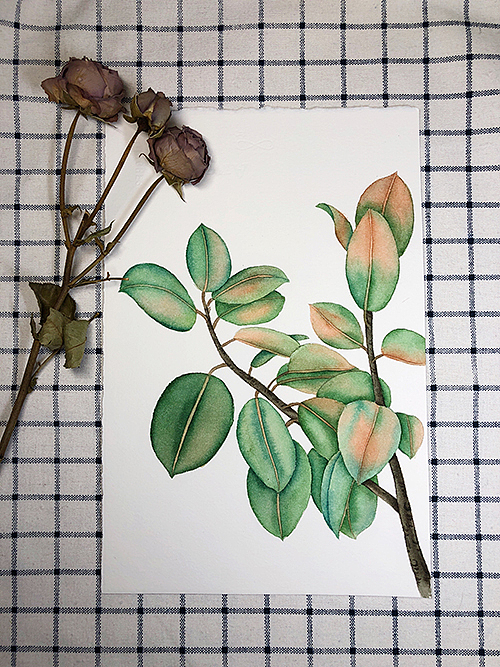 水彩画-叶子（图ZMTA4Njk3NzY0） - 创作习作 - 站酷设计师董搞搞原创素材 - 站酷ZCOOL