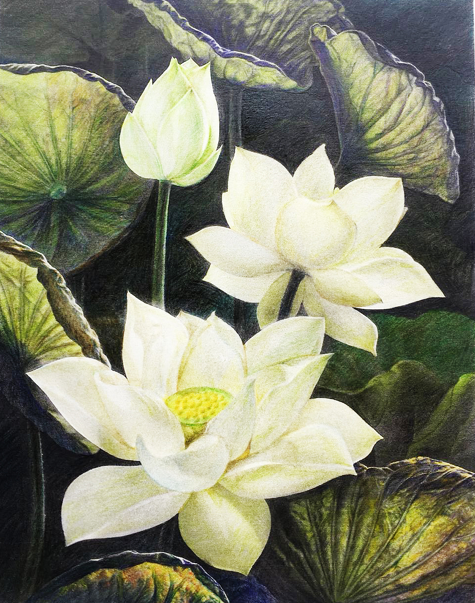 彩铅手绘版权贵阳/平面设计师/4年前/33浏览