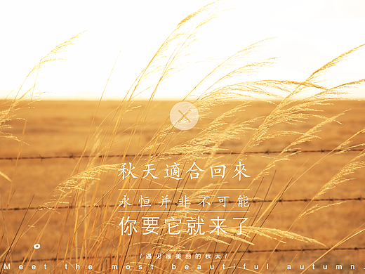 背景图