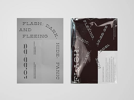 Flash：dark、hide、panic and fleeing