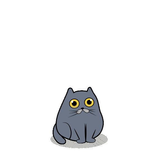 宠物猫动态设定