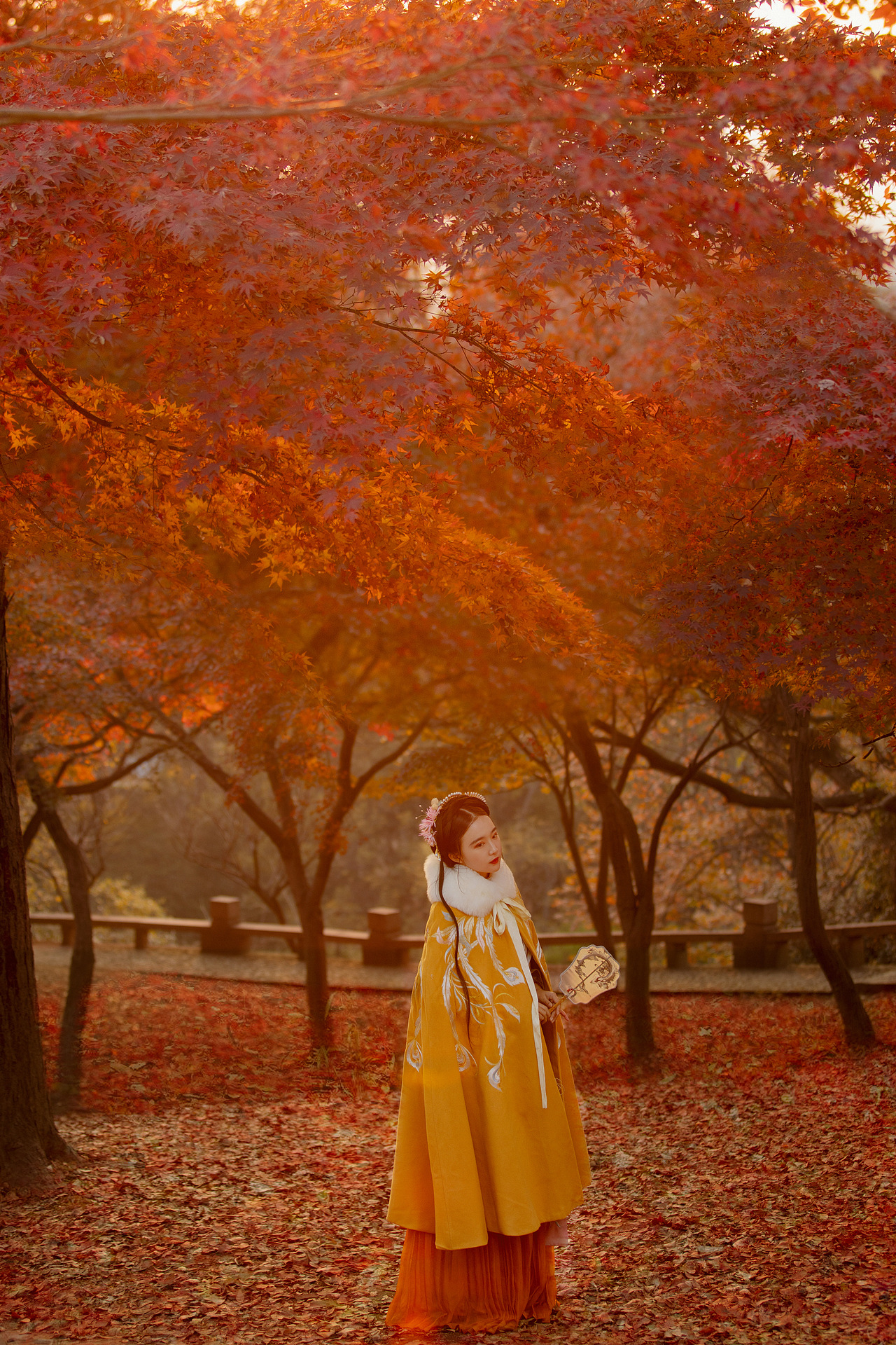 秋枫（图ZMjAwNzM1NDQ4） - 人像摄影 - 站酷设计师周周KAT原创素材 - 站酷ZCOOL