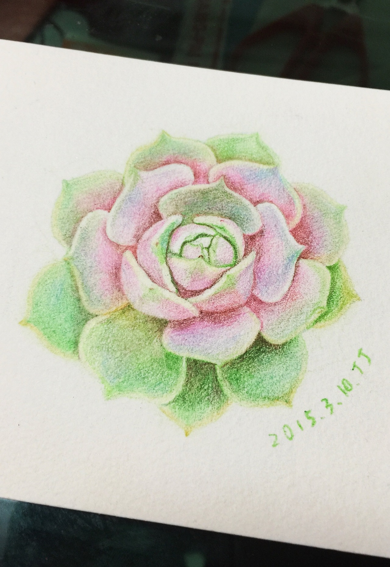 每日一图 彩铅 多肉系列之9 附步骤图