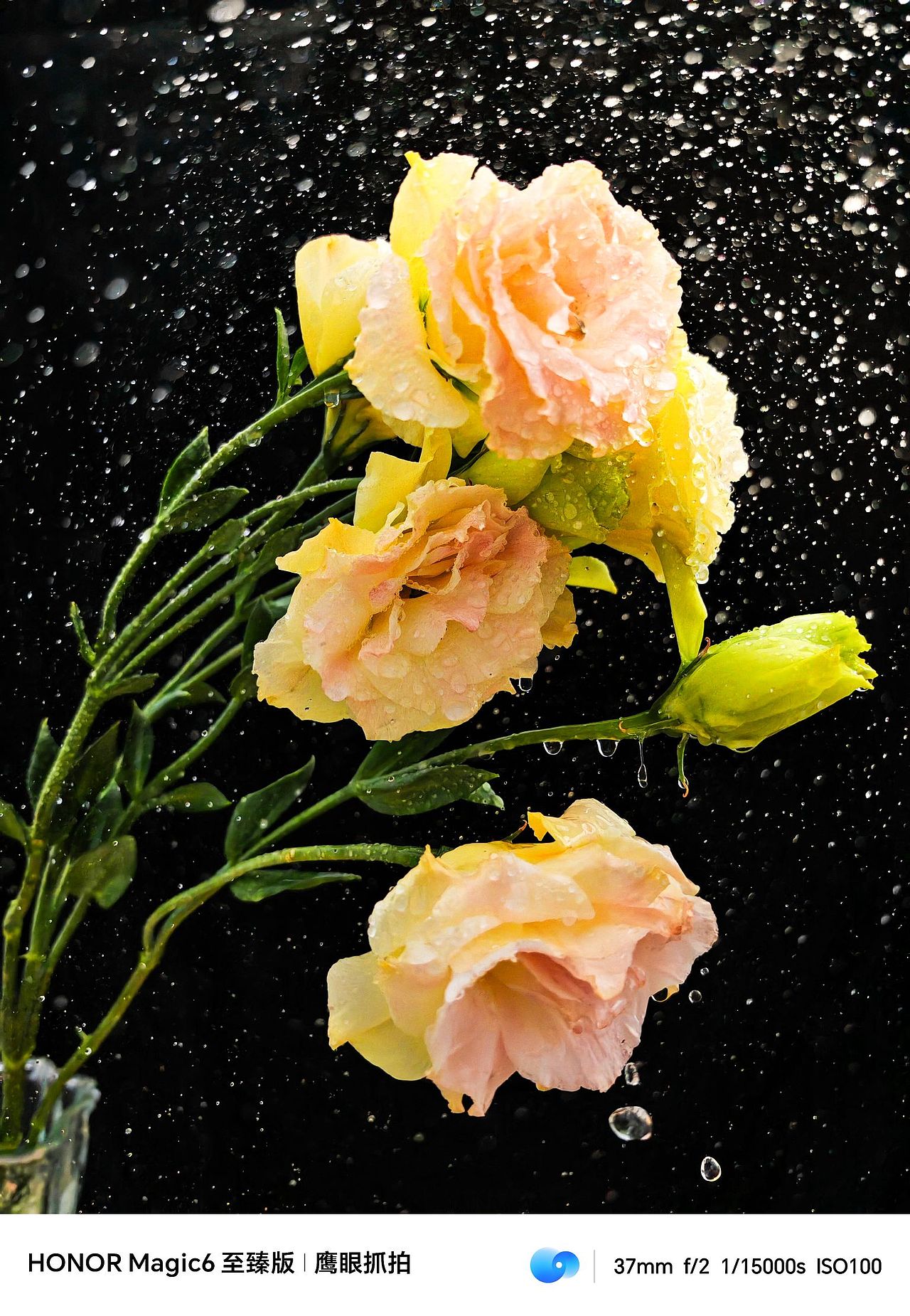 不知道这是不是摄影师喜欢的决定性瞬间??