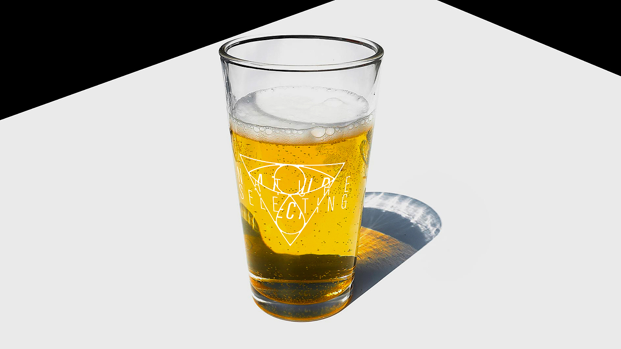 自然选择 精酿 酒吧 NATURAL SELECTION TAPROOM 