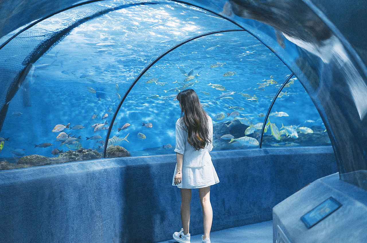 蓝色大海的传说