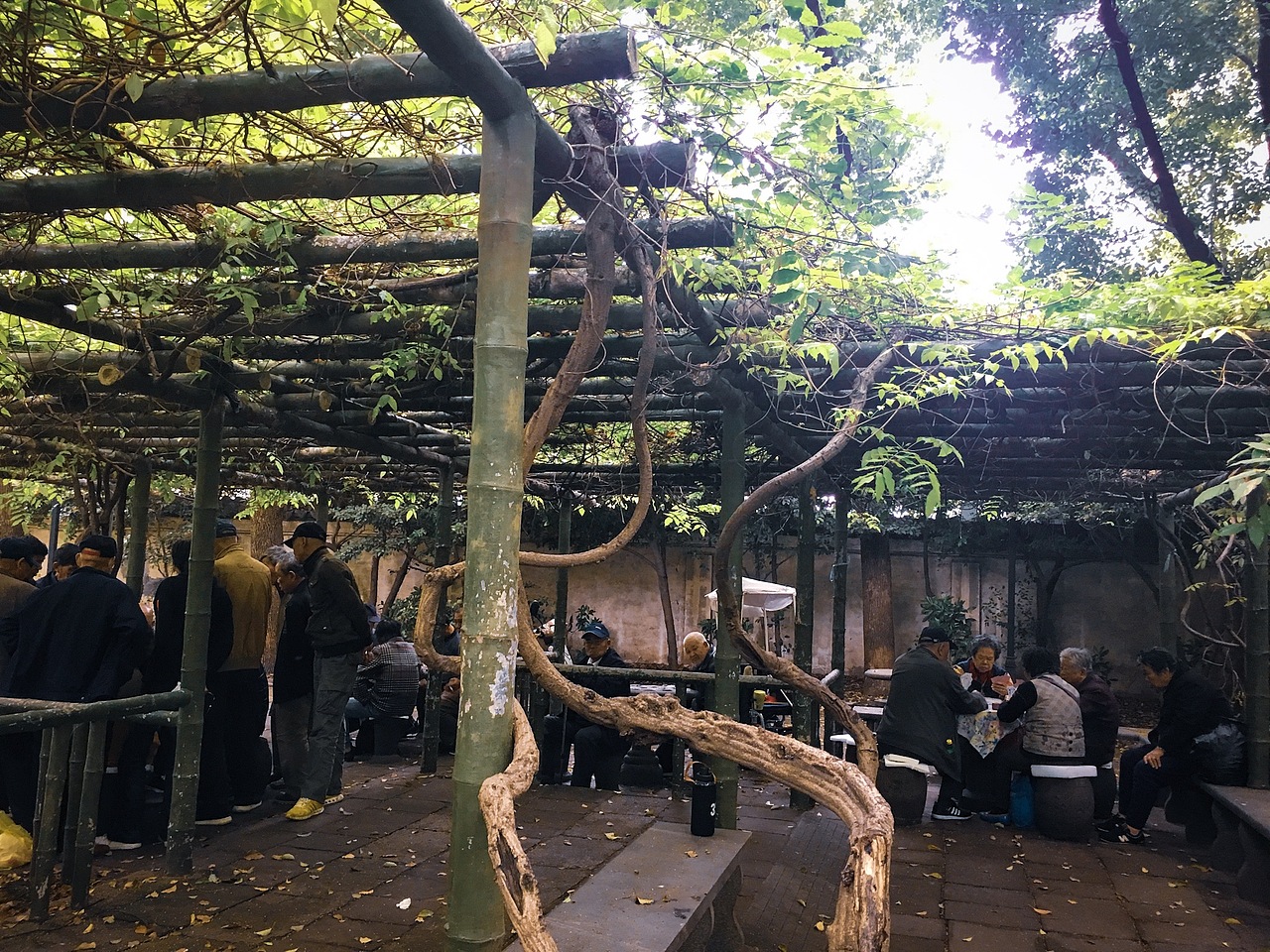 探寻上海市区内的园林公园