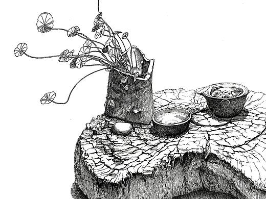 苏武《铜钱草》系列钢笔插画