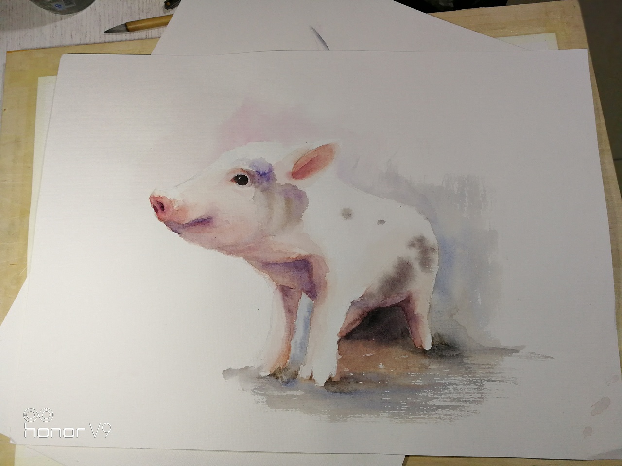我的水彩作品猪