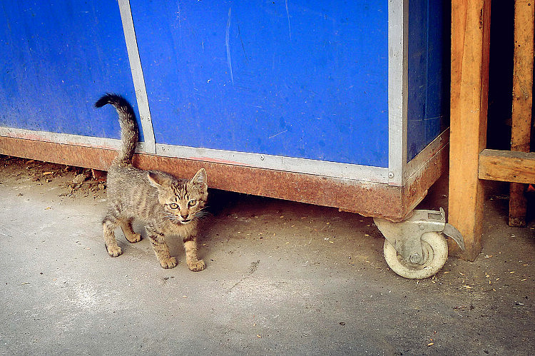 。。。不管怎样都要贴着物体边缘走